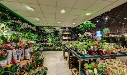 Jungerius Flowers Helmond, Bloemist in Helmond