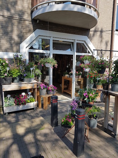 T-Flowery, Bloemist in Venlo