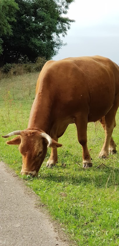 Biemans Teterra, Bloemist in Teteringen