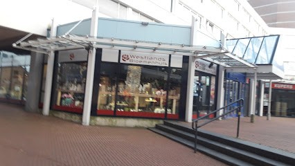 Westlands Bloemenhuis, Bloemist in Brunssum