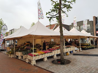 De Gier Bloemen, Bloemist in Zuidwolde