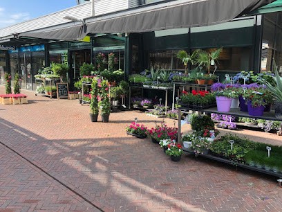 Kokkeler Bloemen - Berkel, Bloemist in Berkel en Rodenrijs