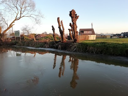 Firma J.Th. Groenendijk, Bloemist in Haarlem