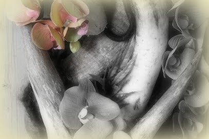 MeerBloom, Bloemist in Eindhoven