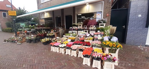 Bloemen En Planten By Stan, Bloemist in Santpoort-Noord