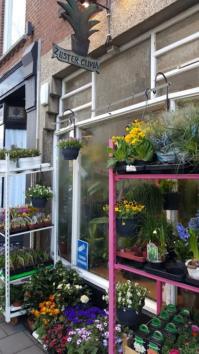 Bloemisterij Zuster Clivia, Bloemist in Den Haag
