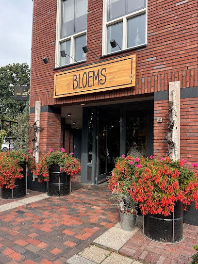 Bloems, Bloemist in Overloon
