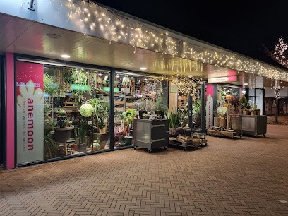 Anemoon, Bloemist in Dronten