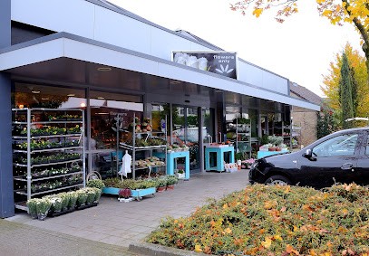 Flowers Only, Bloemist in Scherpenzeel