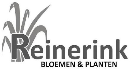 Reinerink Bloemen en Planten Manderveen, Bloemist in Manderveen