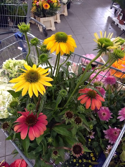 Bloemenhuis Van Stekelenburg, Bloemist in Eindhoven