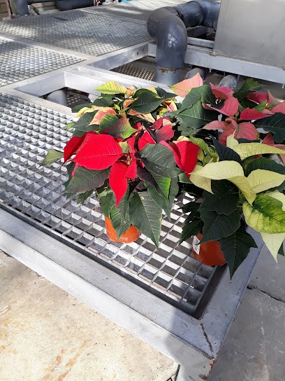 Van Vegchel onroerende zaken B.V., Bloemist in Horst