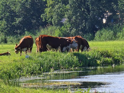 Boomkwekerij Wanschers, Bloemist in Notter