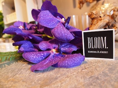 Bloom Bloemen En Planten Neede, Bloemist in Neede