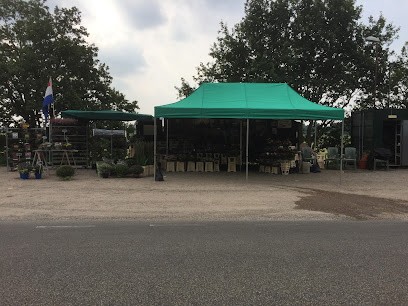 Bloemen Kiosk Het Uitzicht, Bloemist in Noordwijkerhout