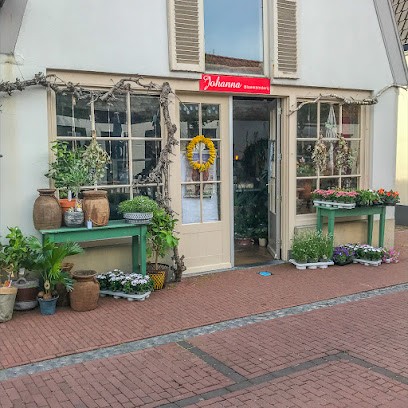 Johanna Bloembinderij, Bloemist in Oostkapelle