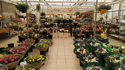 Bloemsierkunst Ilyas, Bloemist in Waspik