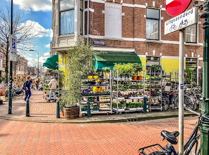 Bloemenwinkel Beertje, Bloemist in Den Haag