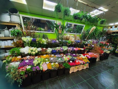 Bloemenboetiek Florida, Bloemist in Den Haag