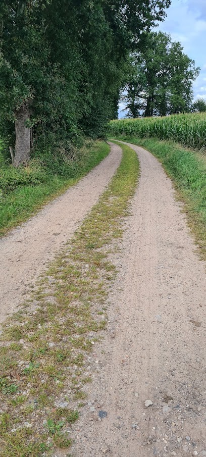 Kwekerij A.J. Houtman, Bloemist in Ede