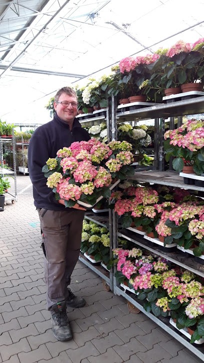 Bloemerij Verdaasdonk, Bloemist in Boxmeer