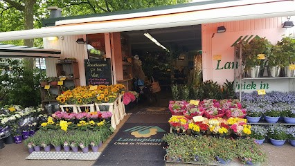 Lansuplant, Bloemist in Haarlem