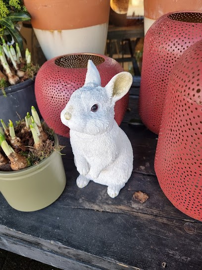 R & R Flowers, Bloemist in Wormer