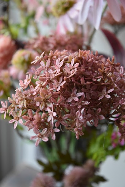 Brocante Bloemen, Bloemist in Kerkwerve