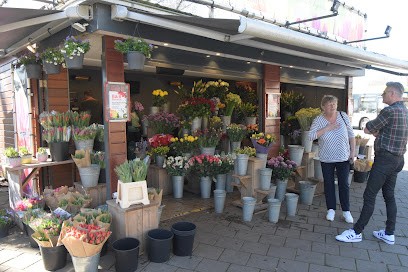B&B Bloemkiosk, Bloemist in Haarlem