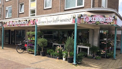 Boeketterie 't Ribbelt, Bloemist in Enschede
