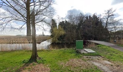 Zomervlinder B.V., Bloemist in Ter Aar