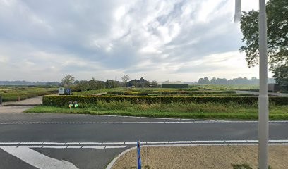 Kwekerij Collendoorn V.O.F., Bloemist in Collendoorn