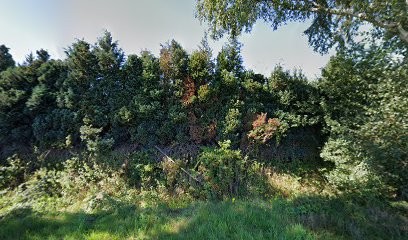 Kwekerij Kolos, Bloemist in Molenschot