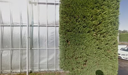 Lily Looks, Bloemist in Den Hoorn