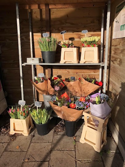 Bloemsierkunst Natasja, Bloemist in Voorhout