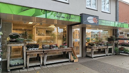 Bloemsierkunst Theo Van De Voort, Bloemist in Reusel