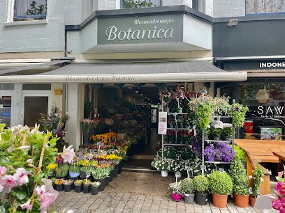 Bloemenboutique Botanica, Bloemist in Den Haag