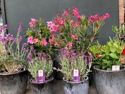 Bloemisterij Gradussen, Bloemist in Bergharen