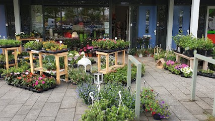 Yipp bloemen en planten, Bloemist in Cuijk