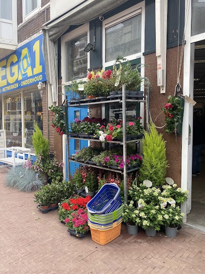 Bloemenhuis Monique, Bloemist in Den Haag