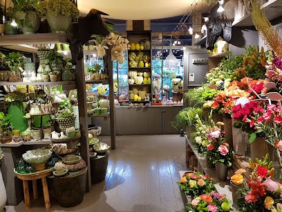 Asarum, Natuurlijke Decoraties, Bloemist in Leiden