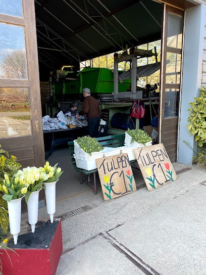 Fa. Th.W. Langeveld & Zn., Bloemist in Lisse