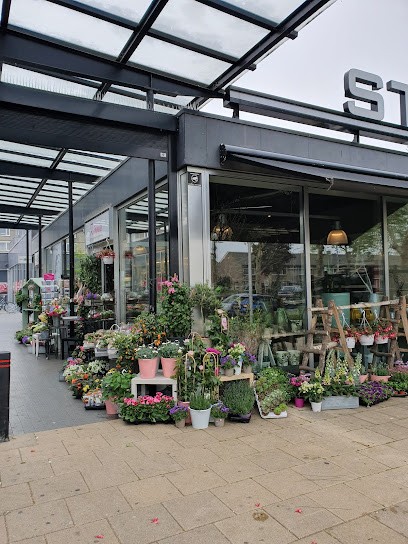 Zinnia Bloemen & Interieurbeplanting, Bloemist in Spijkenisse