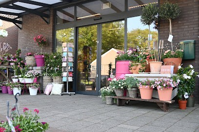 Bloemisterij Bloem & So, Bloemist in Zuidwolde