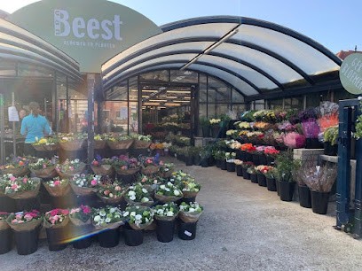 Flowers & Plants Van Beest Zeist, Bloemist in Zeist
