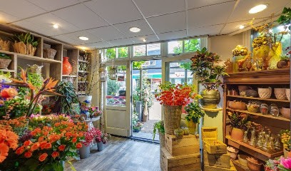 Adrichem Bloemisten, Bloemist in Santpoort-Noord