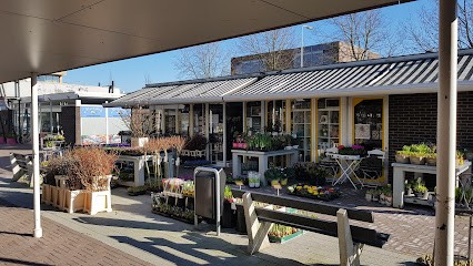 Decotrend B.V., Bloemist in Schoonhoven