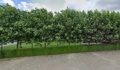 Kwekerij J. Pouls, Bloemist in Roggel