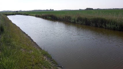 's-Gravenhof B.V., Bloemist in Middelburg