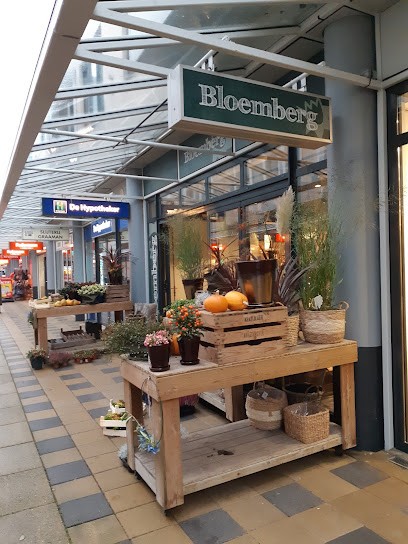 Bloemsierkunst Rob Van Den Berg, Bloemist in Velserbroek